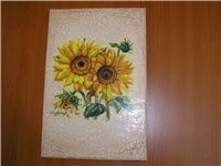 e495bdb2-slije 053.jpg